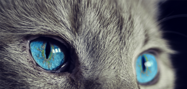 BlueEyes